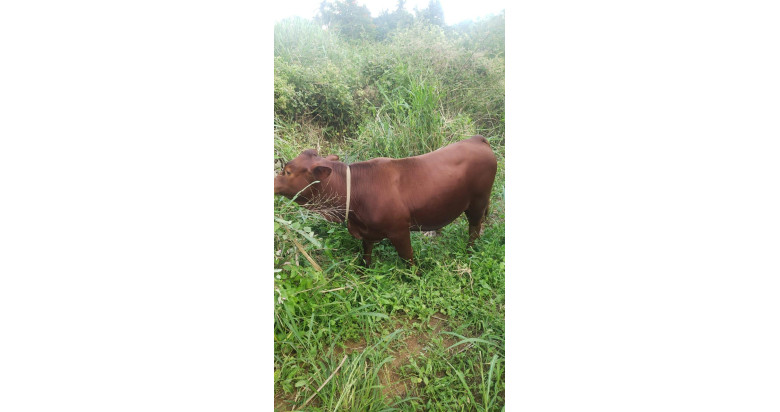 This is farmer testing blog